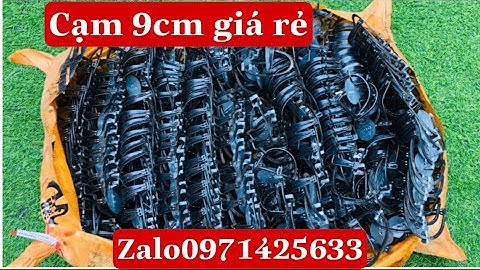 Cạm bẫy  chuột đồng  hiệu quả nhất hiện nay giá rẻ dễ sử dung 0971425733