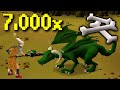 I collected 7,000 dragon bones... Wildy or Myth