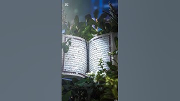 وَبِكُفْرِهِمْ وَقَوْلِهِمْ عَلَىٰ مَرْيَمَ بُهْتَانًا عَظِيمًا (سورة النساء الآية 156)
