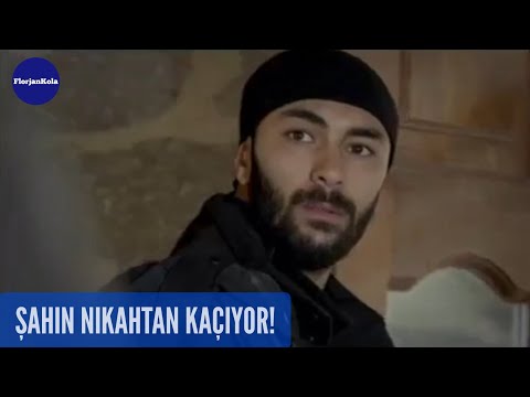 Şefkat Tepe | Şahin Nikahtan Kaçıyor! | 97.Bölüm