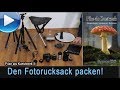 den Fotorucksack packen für Wald- und Pilzfotografie (Pilze als Kunstwerk II)