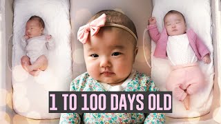 Baby Pekoes First 100 Days
