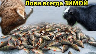 Мормышка Коза для зимней рыбалки своими руками,Эта Снасть Ловит ВСЕ,зимняя рыбалка,балансир