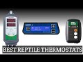 The Best Reptile Thermostats - My Opinion - Stuff to Buy While in Quarantine!