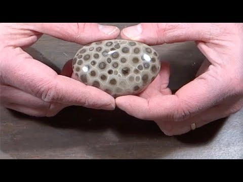 How to Hand Polish a Petoskey Stone