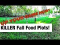 FALL FOOD plots! Everything you need to know!