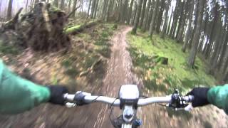 Silkeborg Nordskoven - Full track on an E-MTB