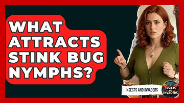 What Attracts Stink Bug Nymphs? - Insects and Invaders