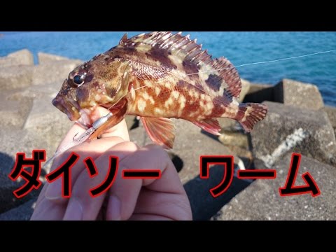 ダイソーのワームでガシラ カサゴ 釣り Youtube