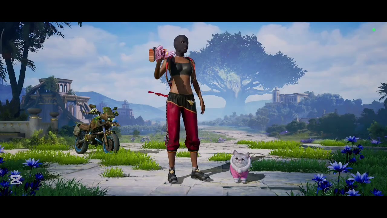 8100 Uc harcama icgalci ve m4 nihahi videosu gelecektir 