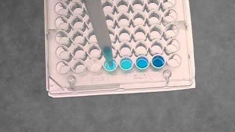 Serial Dilution