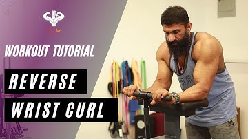 FOREARM WORKOUT - Reverse Wrist Curls | BIGLEE | WORKOUT TUTORIAL
