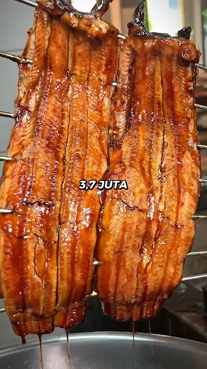 MUKBANG PREMIUM EEL CATCHED ALIVE #culinary #trending #eel #unagi #eat #viral