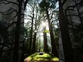 God's Unchanging Love: Finding Truth in Difficult Times #shorts