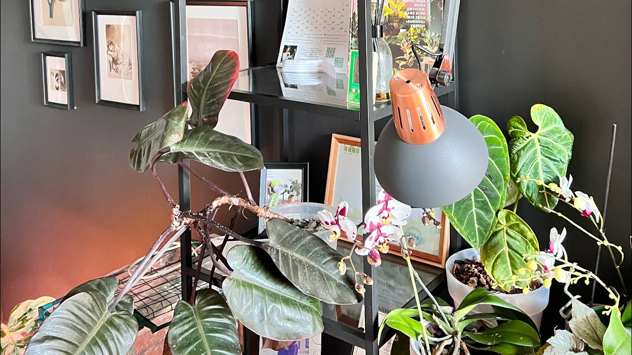 Лучшие удобрения 2023