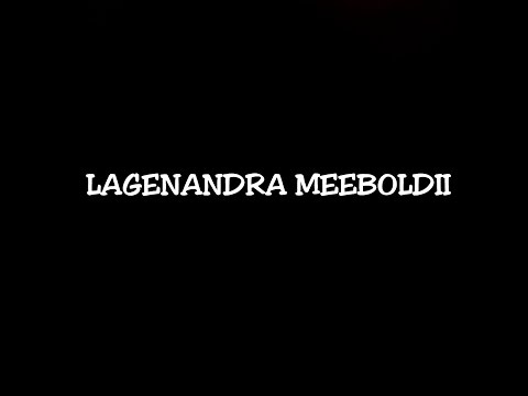 Video: Lagenander Meebold Bất Thường