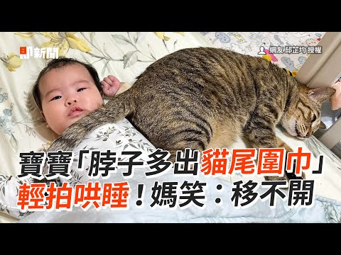 虎斑貓「尾巴」當圍巾！化身毛保母哄寶寶睡覺❤️｜寵物動物｜貓咪