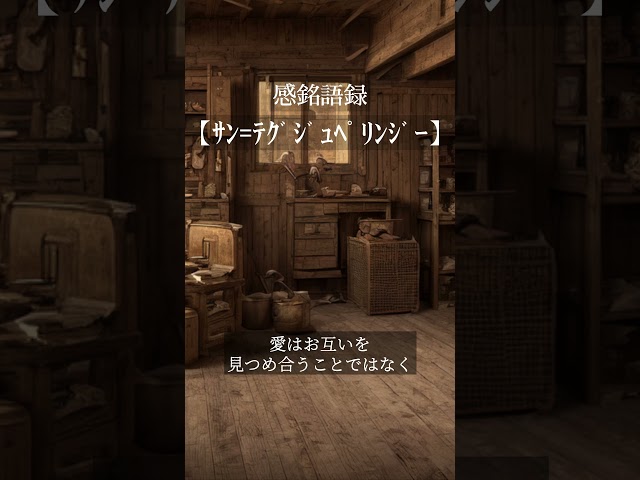愛はお互いを見つめ合うことではなく、ともに同じ方向を見つめることであるNEW!アントワーヌ・ド・サン=テグジュペリ