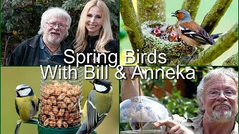 SPRING BIRD ADVICE WITH BILL ODDIE & ANNEKA SVENSKA - DayDayNews