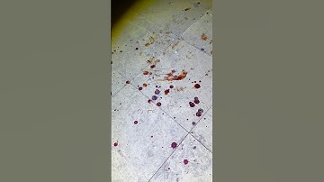 Disturbing Discovery in Abandoned School