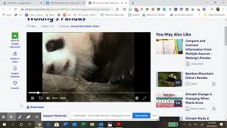 Monday: Panda Performance Task Video #1