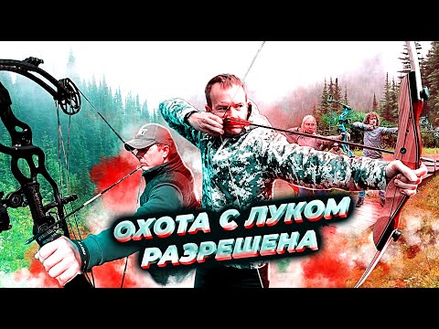 Разрешена охота с луком и стрелами. Возможен ли BOWHUNTING в России? Как стрелять из лука?