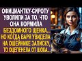 Официантку-сироту уволили из-за уличного щенка. Но когда Варя увидела на ошейнике записку...