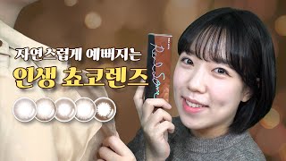 찬바람 불 땐~ 쵸코렌즈🍫🤎ㅣ렌즈미 쵸코렌즈 모음ㅣ프리니 쵸코, 리얼썸 원데이 쵸코, 말리부 쵸코, 커스텀룩 No.01 쵸코, 데이린 다크쵸코