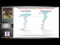 Lecture 5 on male urethrography