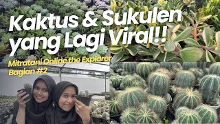 Mitratani Online the Explorer Bagian #2 BERBURU DI KAKTUS & SUKULEN MAGELANG! LAGI VIRAL BGT!