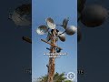 Cooking Up Electricity: Teacher Builds Wind Turbine Using Pans! ⚡🍳