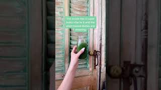 You Have to Visit This Vegan Restaurant in LA 📍 #shorts