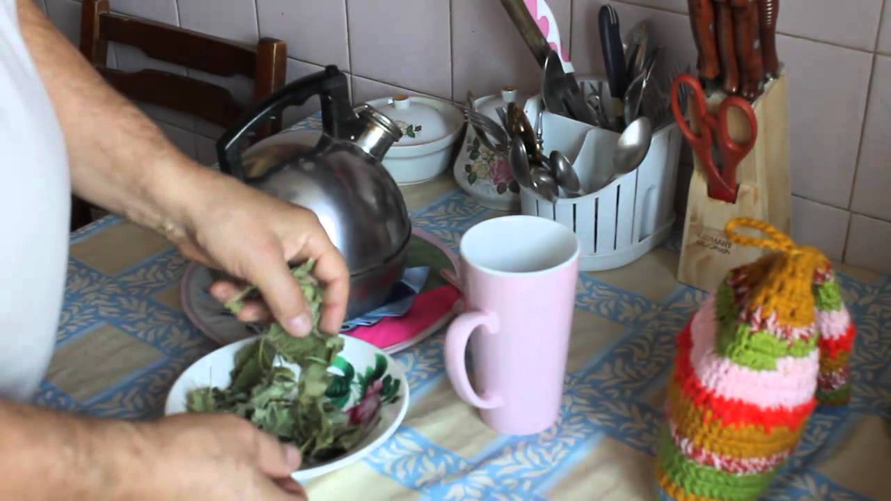 Манжетка.Снижение сахара.