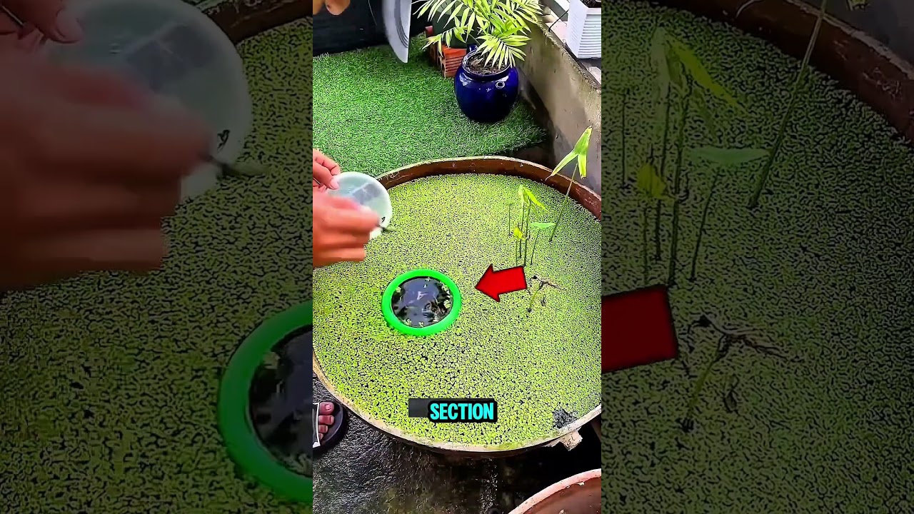 when this boy returned home after some month