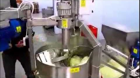 Industrial cabbage shredder 5000 kg/h