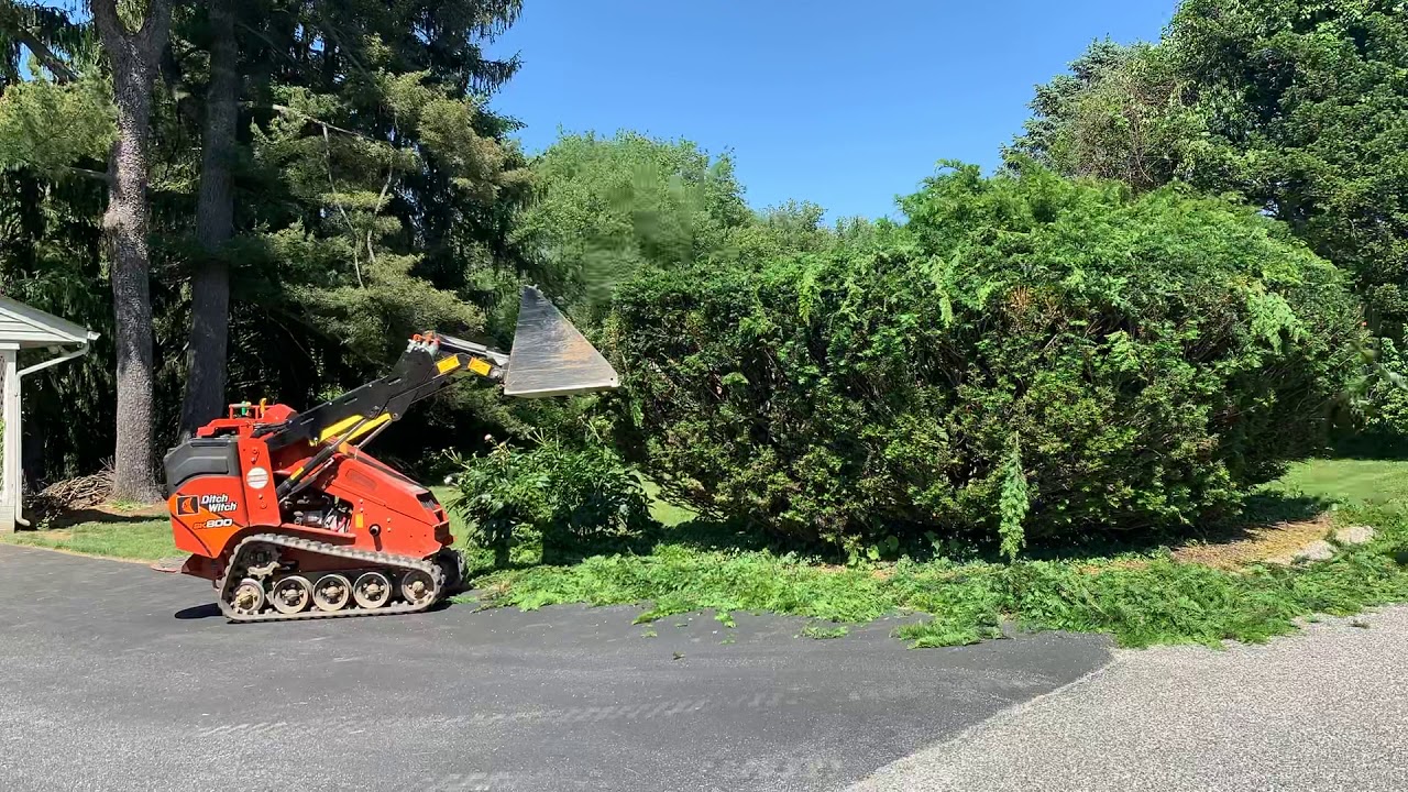 Creative trimming of hard to reach spots YouTube