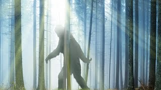 Bigfoot Sightings In Alaska