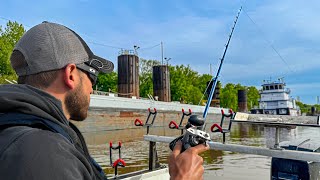 A Trophy Fish Was Living Behind This Barge | Big Fish Caught! (Not Clickbait)