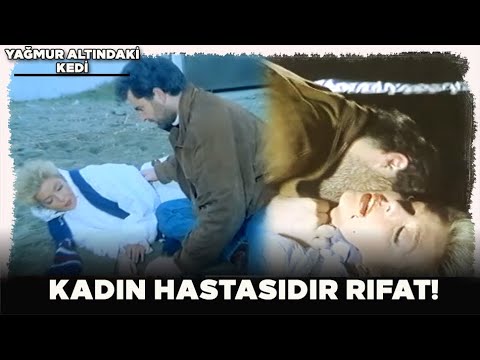 Yağmur Altındaki Kedi | Duygu'nun Zor Anları!