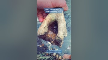 Fossil hunting tips. #fossilhunting #fossils #dinosaurs #fossilhuntingtips