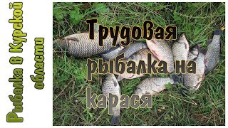 Ловля карася на «куки»... Рыба бастует