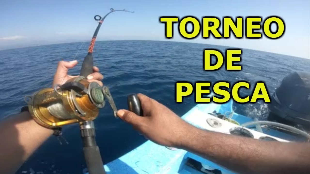 TORNEO PESCA CHICA / IXTAPA ZIHUATANEJO video to gif