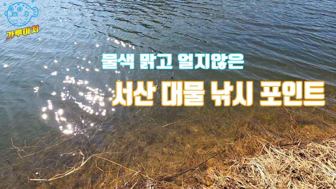 충남 서산시에 위치한 대물터!! 물색도 좋고 얼지않아 낚시가능!!!