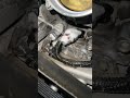 mechanic tips