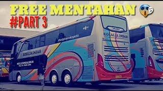 FREE MENTAHAN BUS   KOMPILASI LAGU DJ CINEMATIC BUS INDONESIA DAN REMIX #part 12