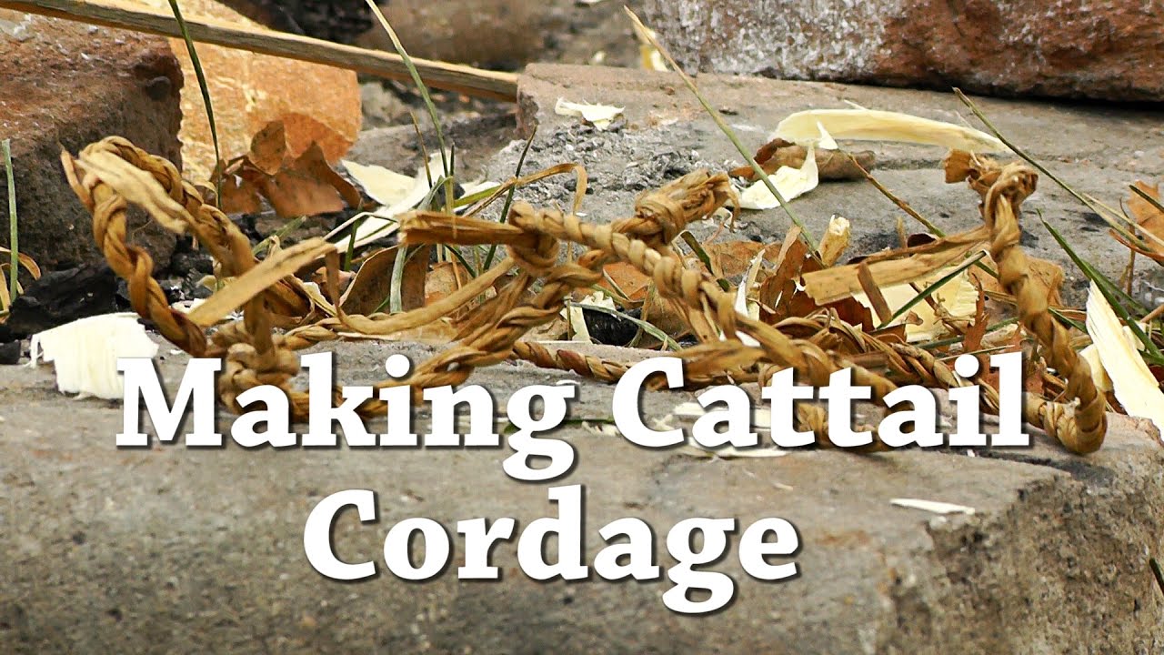 Cattail Cordage - Easy Living the Hard Way