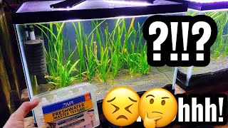 Aquarium PH Level is Too High? Too Low