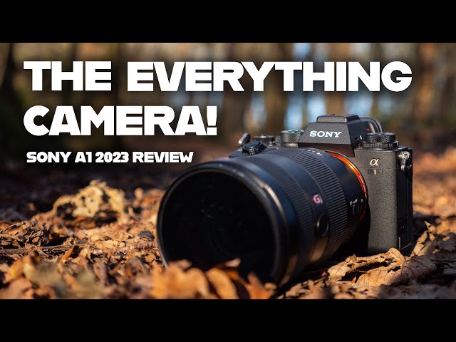 Sony Alpha 1 review: everything nice at an expensive price - The Verge