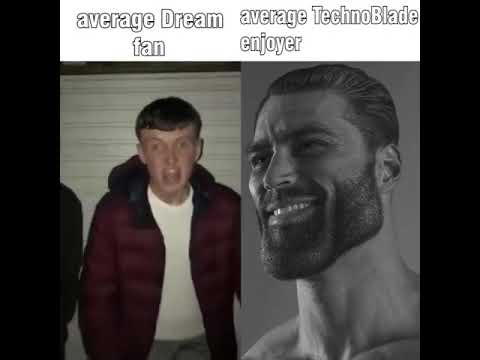 average Dream fan VS average TechnoBlade enjoyer