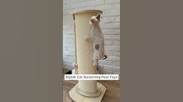Stylish Cat Scratching Post: The Ultimate Toy for Your Feline Friend!